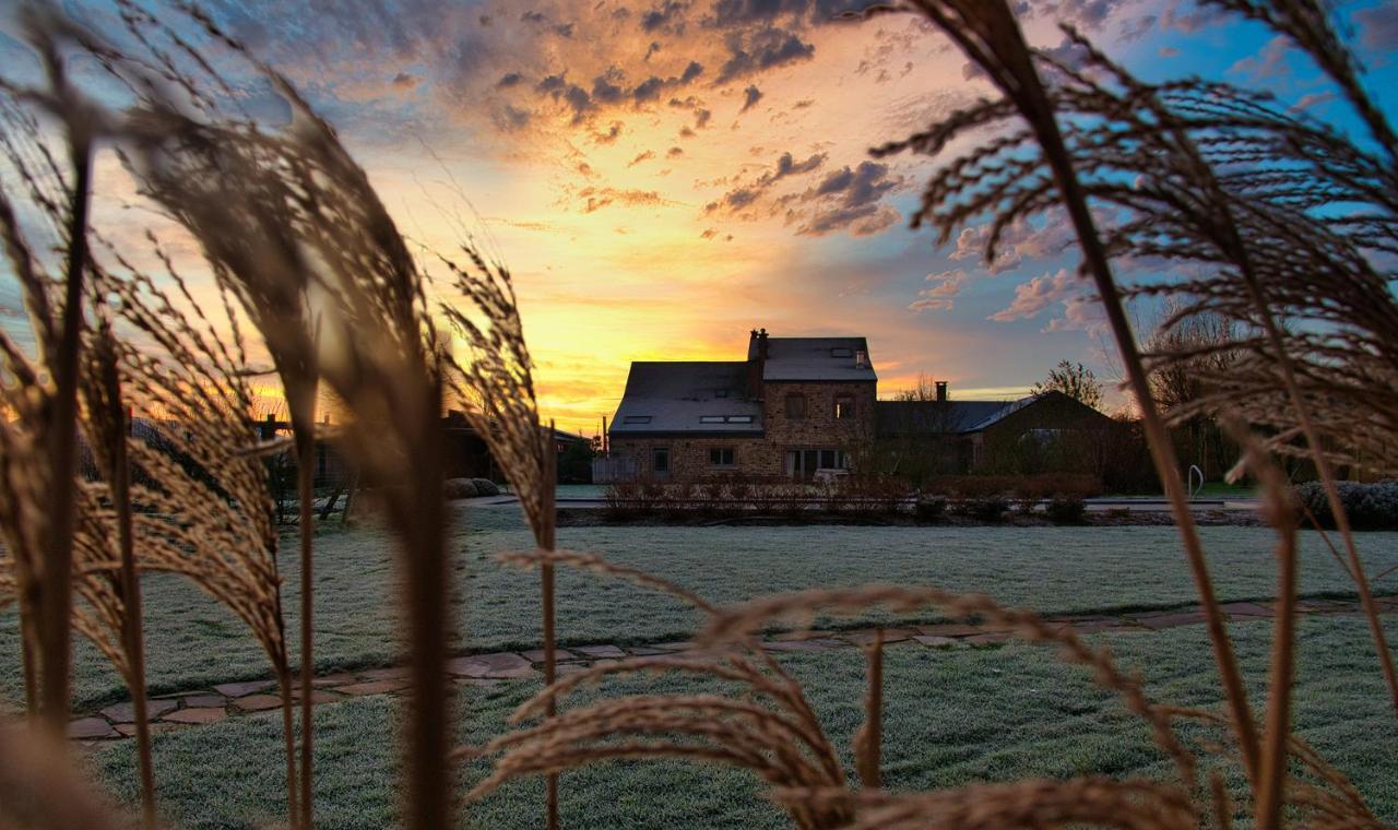 Vila Le Champ Du Coq Gesves Exteriér fotografie