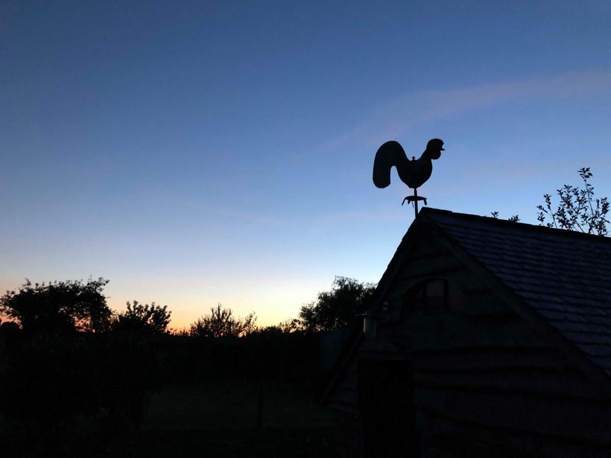 Vila Le Champ Du Coq Gesves Exteriér fotografie