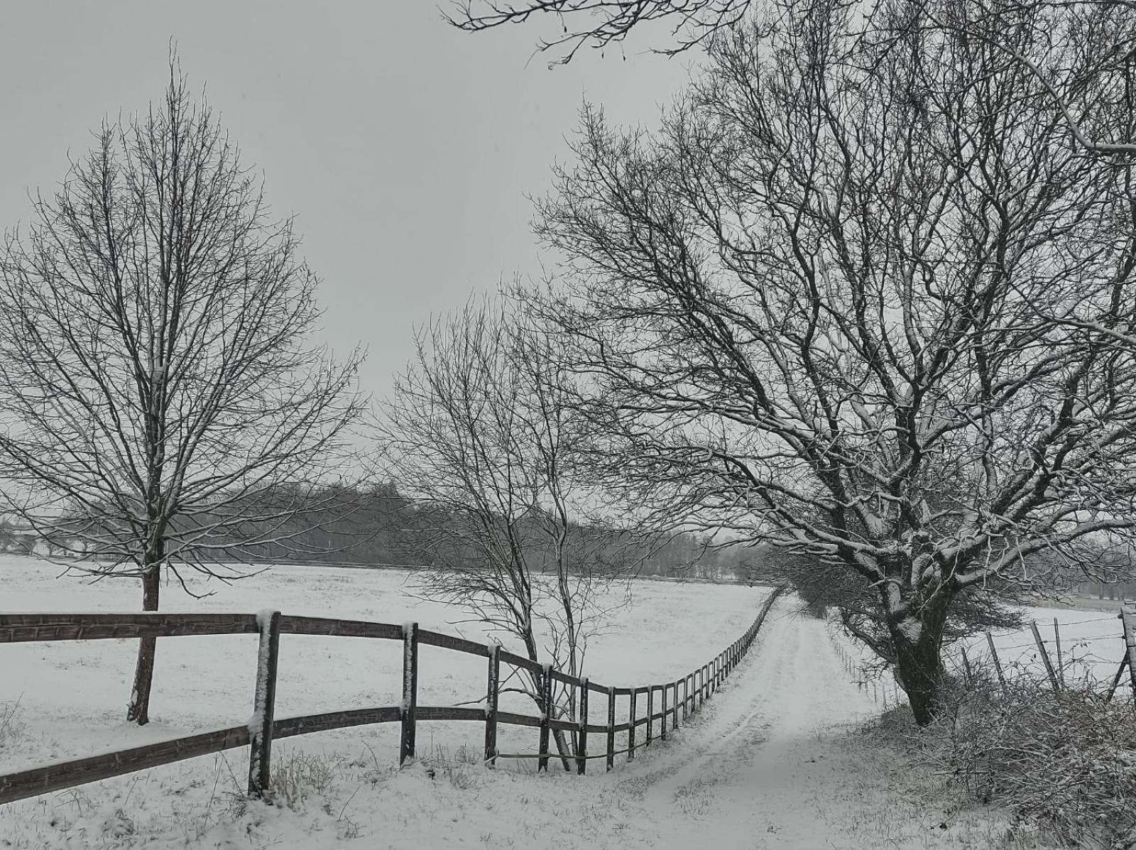 Vila Le Champ Du Coq Gesves Exteriér fotografie
