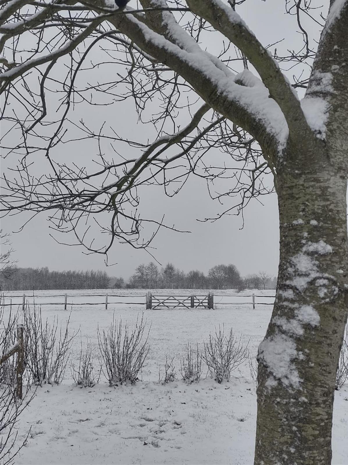 Vila Le Champ Du Coq Gesves Exteriér fotografie